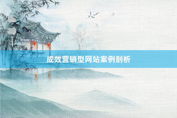成效营销型网站案例剖析