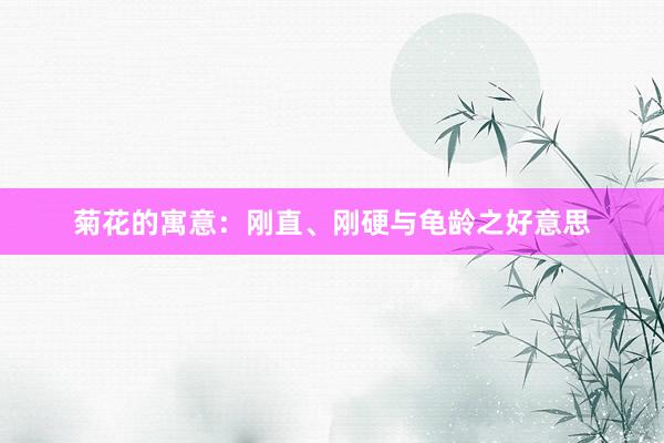 菊花的寓意：刚直、刚硬与龟龄之好意思