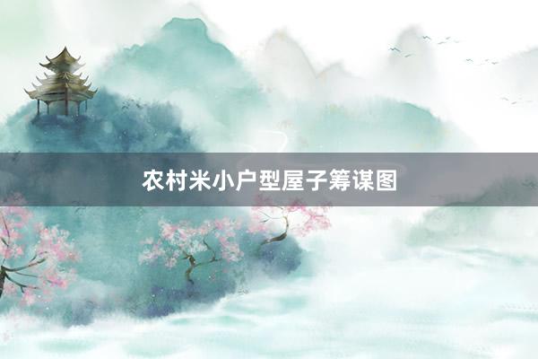 农村米小户型屋子筹谋图
